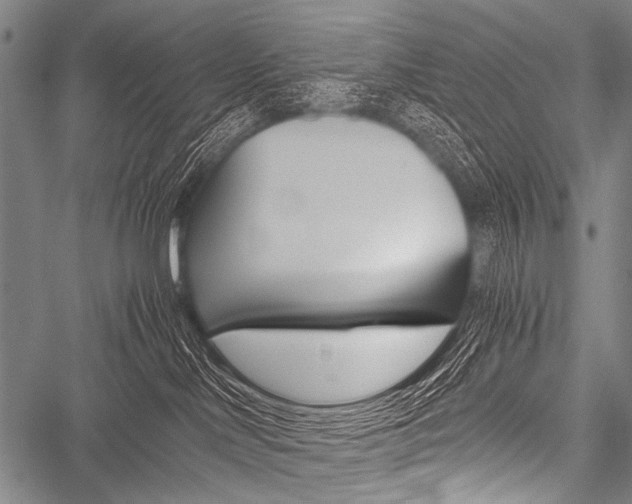 X0000051880046200506240948