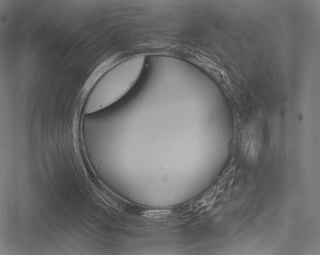 X0000051880051200506240947