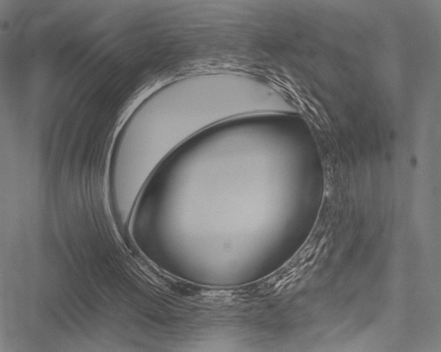 X0000051880052200506240947