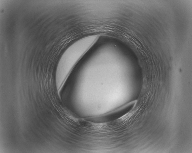 X0000051880096200506240948