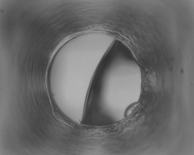 X0000051880100200506240947