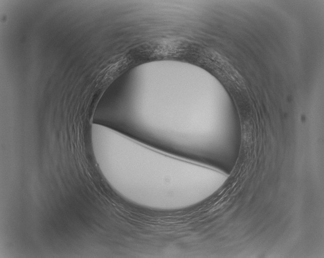 X0000051880127200506240947