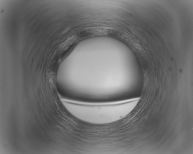 X0000051880141200506240946