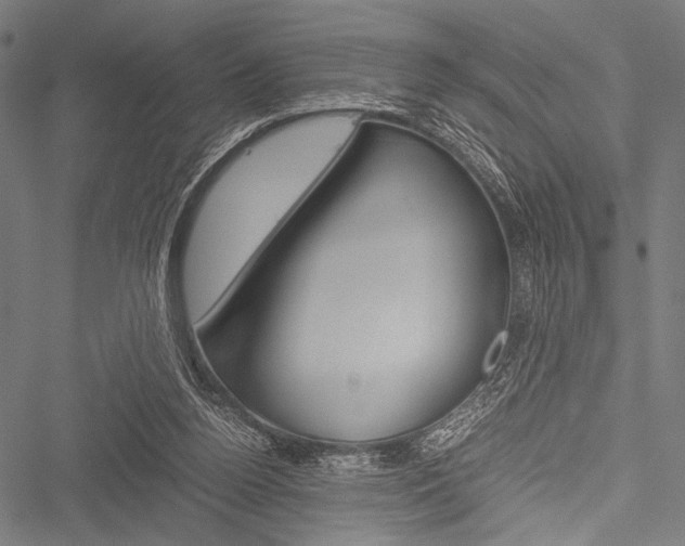 X0000051880160200506240946