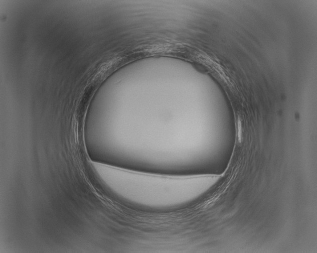 X0000051880205200506240945
