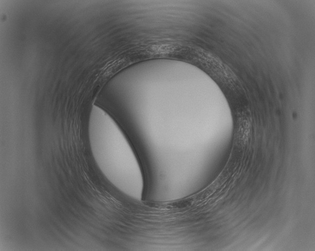 X0000051880220200506240945