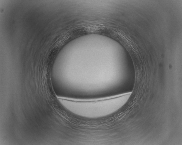 X0000051880221200506240945