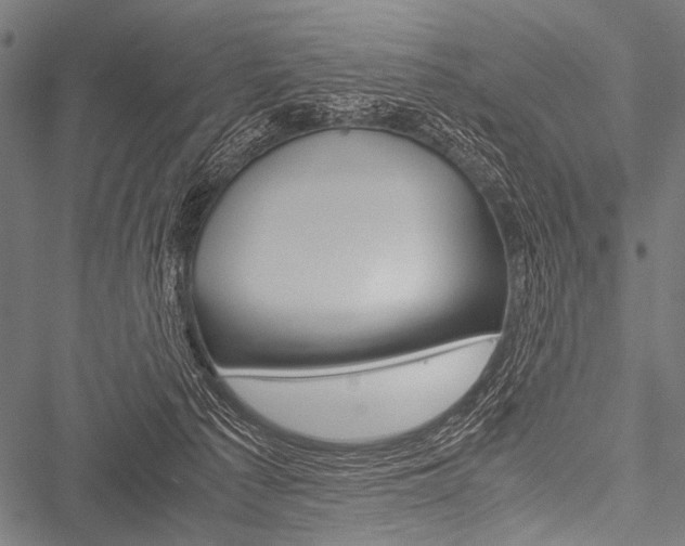 X0000051880225200506240945