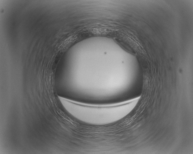 X0000051880233200506240945