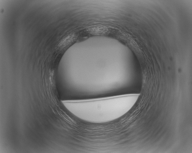 X0000051880239200506240945