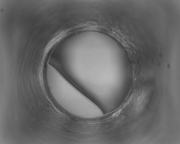 X0000051880245200506240944