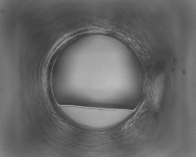 X0000051880247200506240944