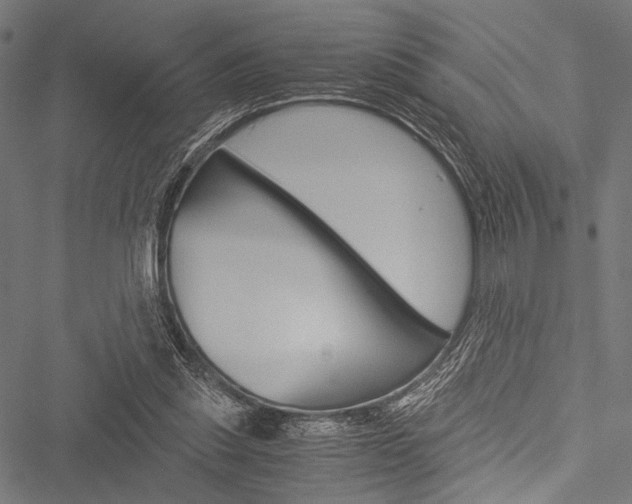 X0000051880253200506240944