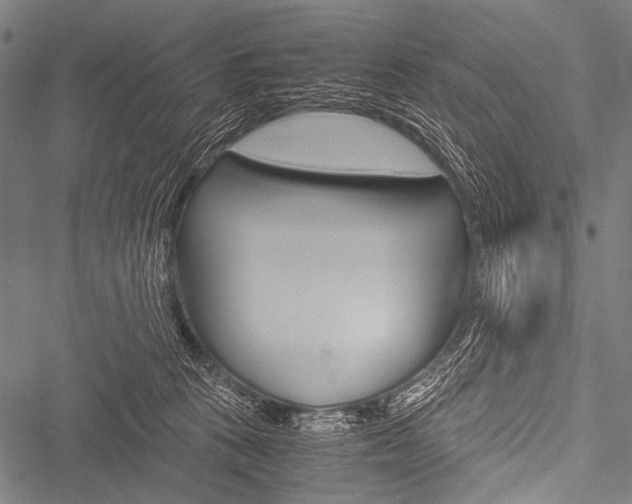 X0000051880273200506240944