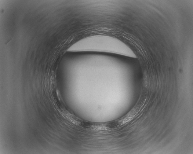 X0000051880284200506240945