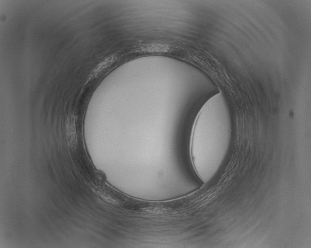 X0000051880300200506240944