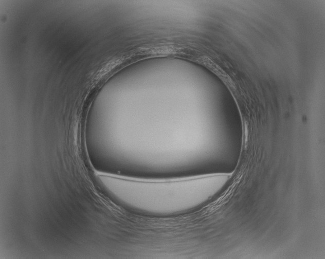 X0000051880301200506240944