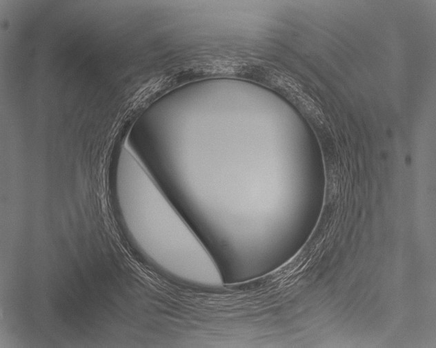 X0000051880309200506240944