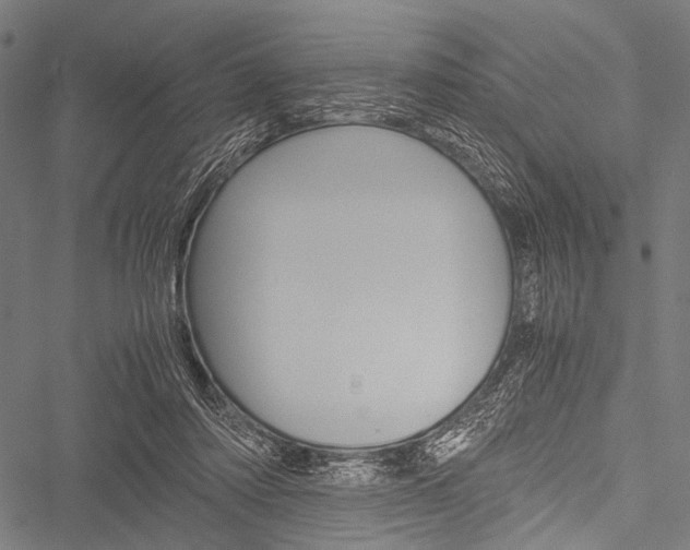 X0000051880310200506240944