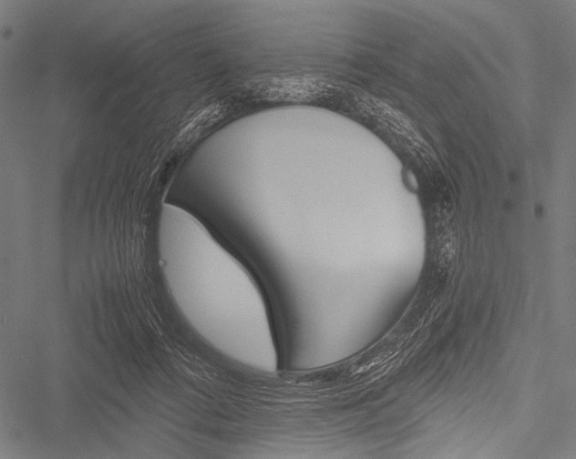 X0000051880312200506240943