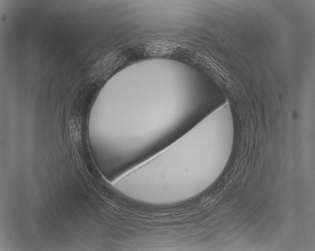 X0000051880315200506240943
