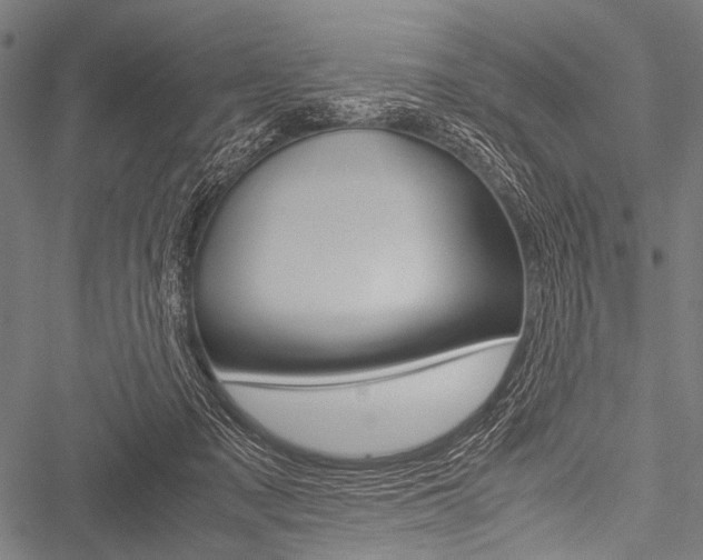 X0000051880317200506240943