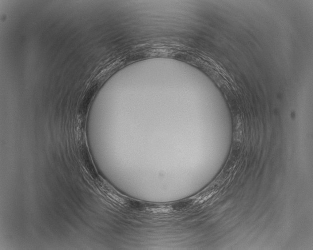 X0000051880318200506240943