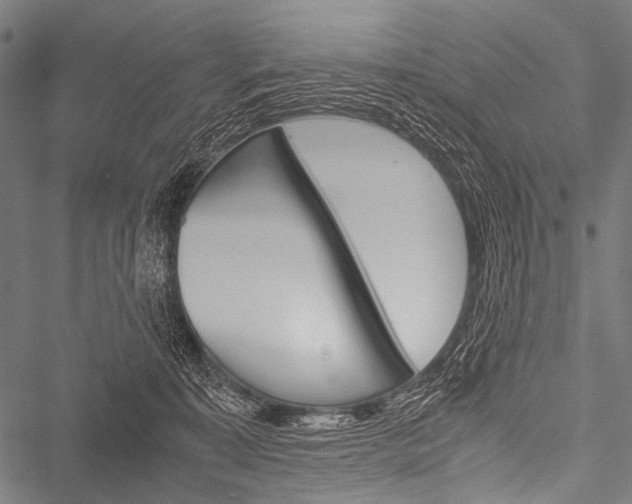 X0000051880323200506240943