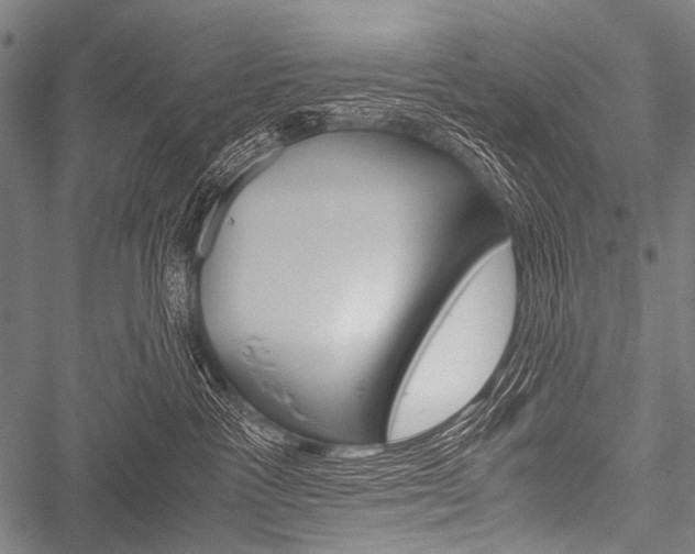 X0000051880333200506240943