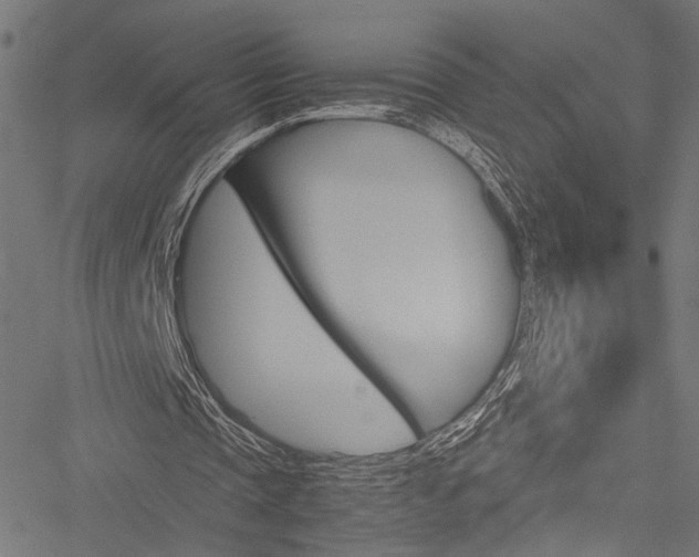 X0000051880337200506240942