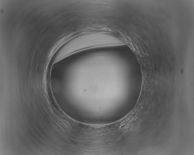 X0000051880340200506240942