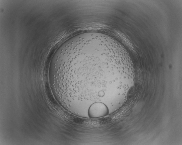 X0000051880354200506240943