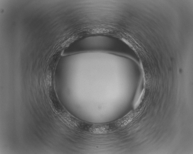 X0000051880368200506240943
