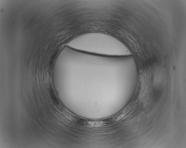 X0000051880371200506240943