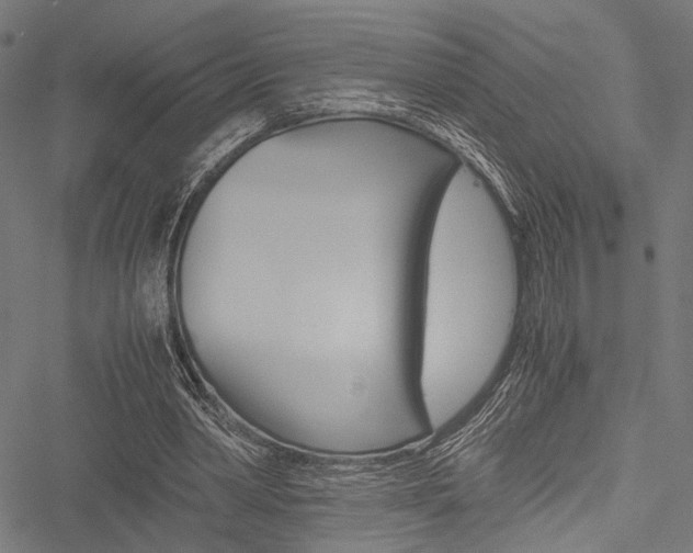 X0000051880390200506240942