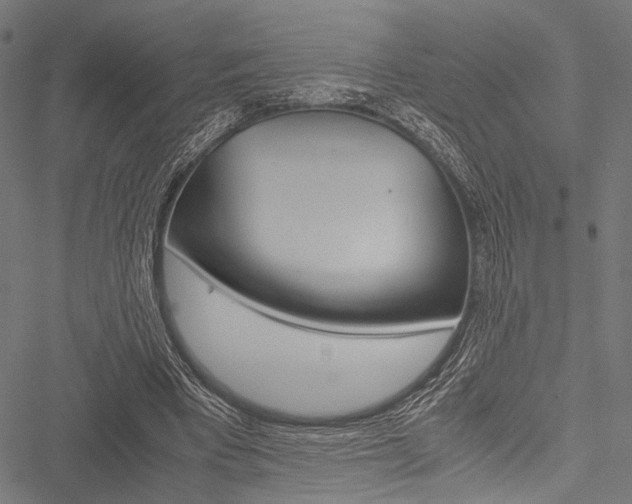 X0000051880393200506240942