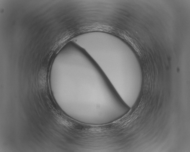 X0000051880394200506240942