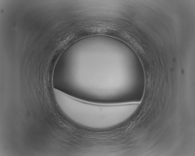 X0000051880403200506240942