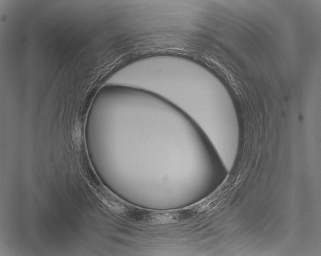 X0000051880405200506240942