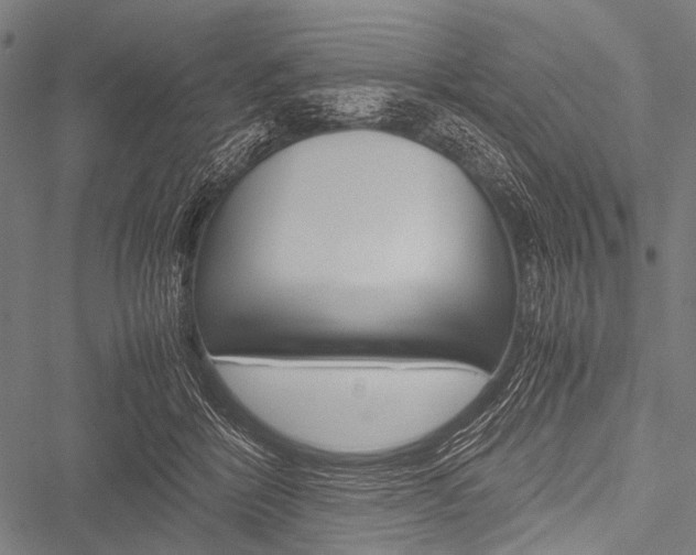 X0000051880412200506240942