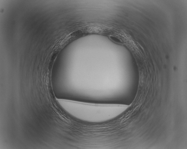 X0000051880413200506240942