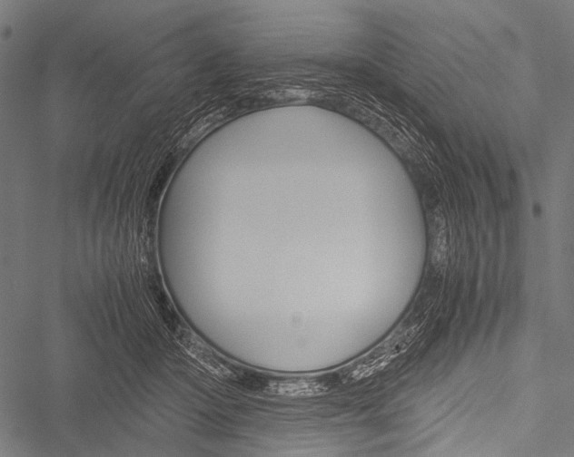 X0000051880414200506240942