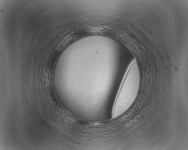 X0000051880421200506240942