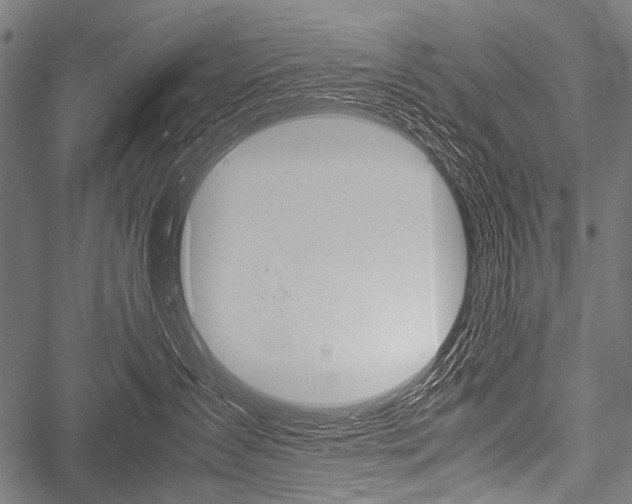 X0000051880431200506240942