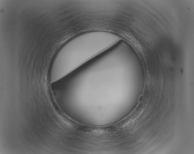 X0000051880441200506240941