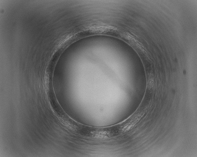 X0000051880448200506240941