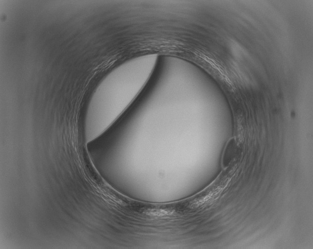 X0000051880453200506240941