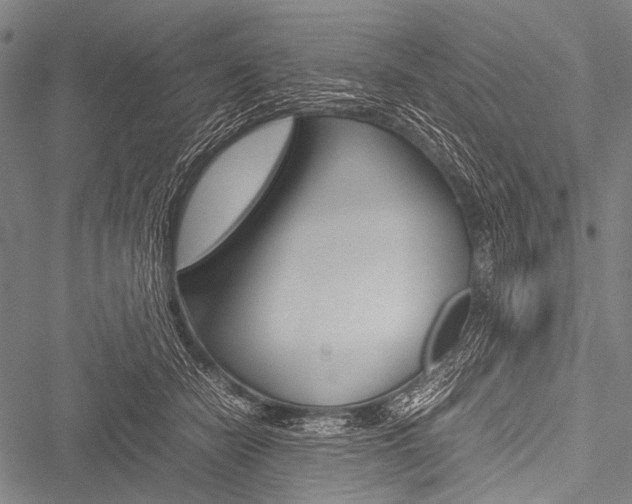 X0000051880462200506240941
