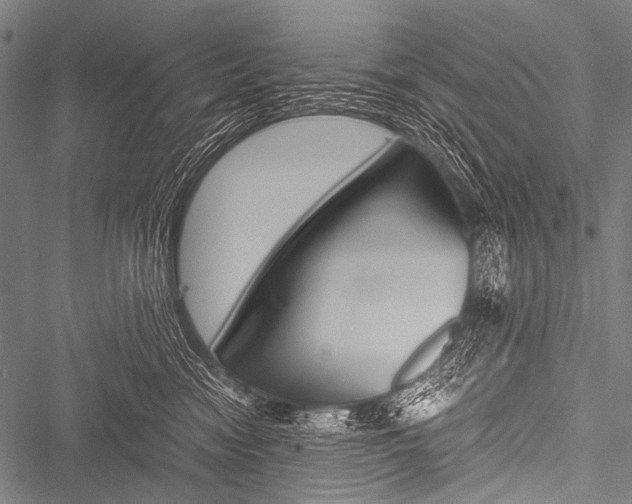 X0000051880474200506240941