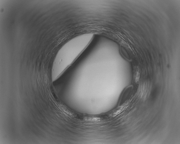 X0000051880476200506240941